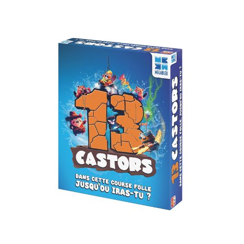 13 CASTORS